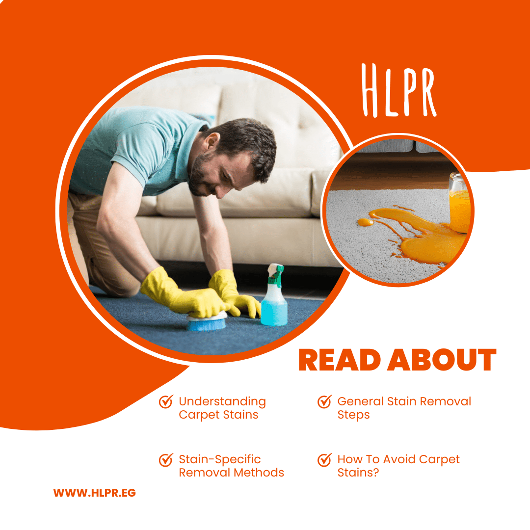 A Summary of the Upcoming Article