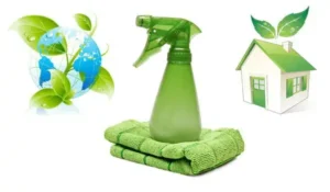Green Cleaning and Introducing Eco-Friendly Products to your routine